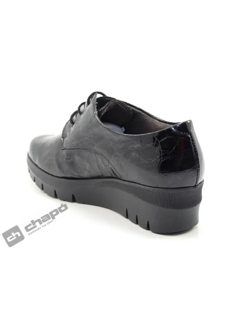 BLUCHER NEGRO PITILLOS 53407