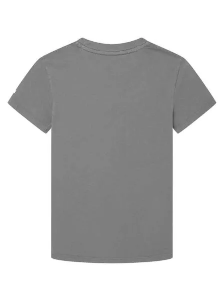 Camiseta Pepe Jeans Davide Gris para Niño