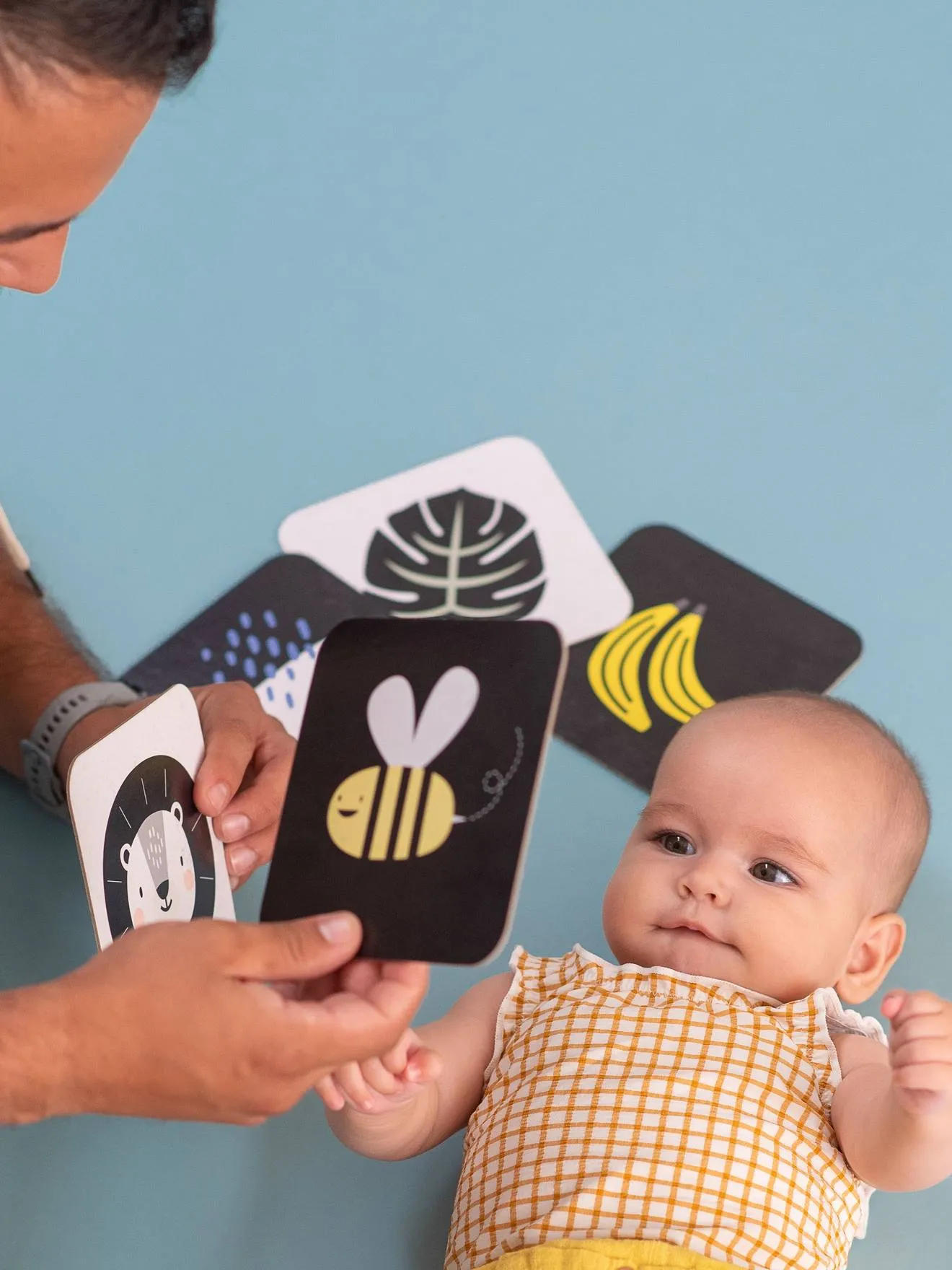 CARTAS DE ACTIVIDADES  TAF TOYS