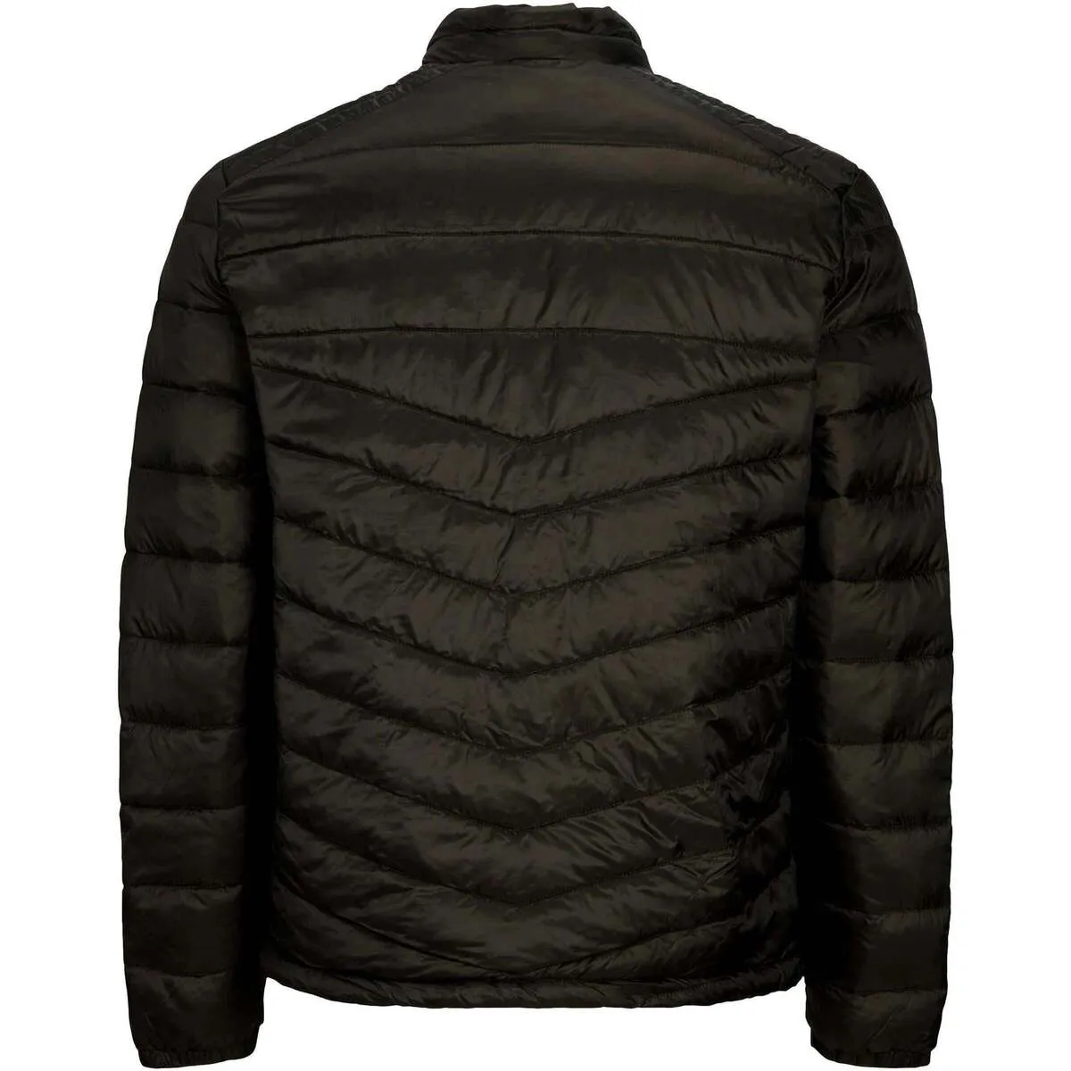 CHAQUETA ACOLCHADA HOMBRE  12211788