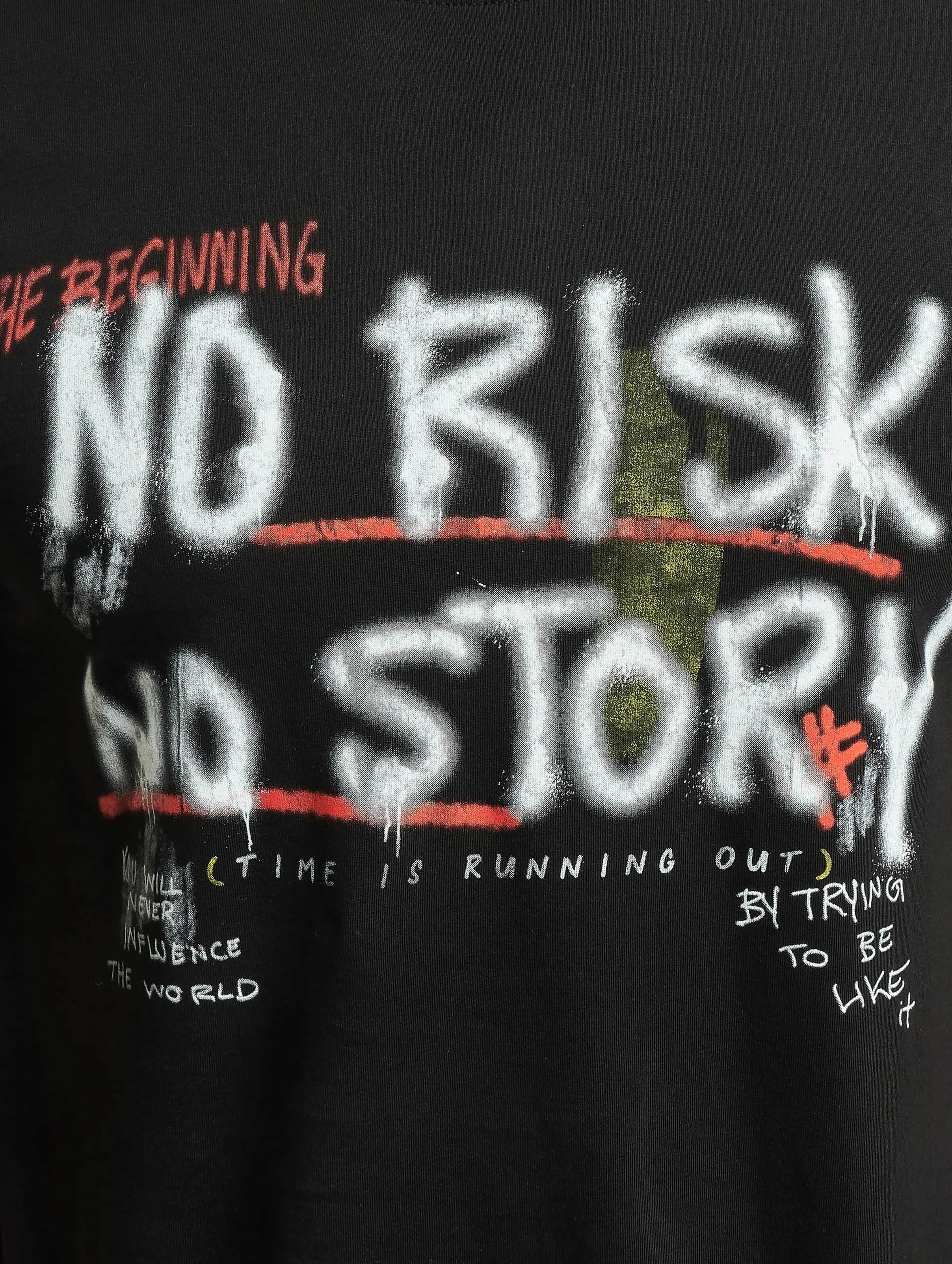 Mister Tee No Risk No Story