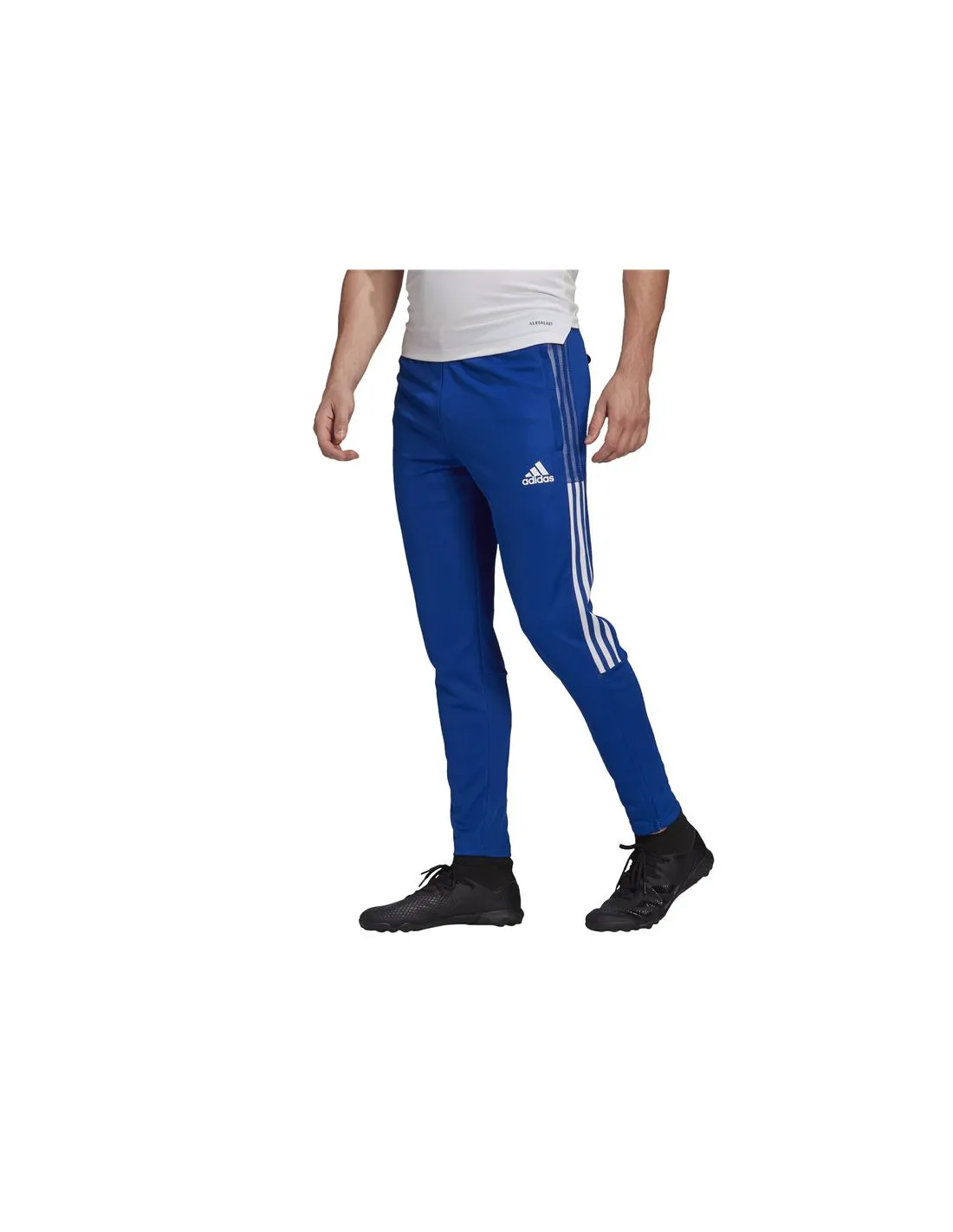 Pantalones de fútbol adidas entrenamiento Tiro 21 M Royal Blue