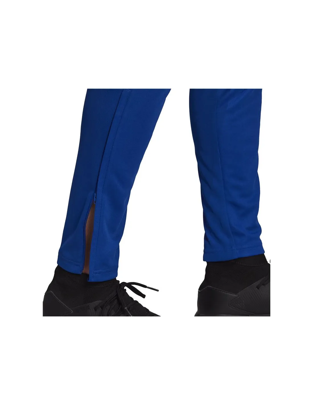 Pantalones de fútbol adidas entrenamiento Tiro 21 M Royal Blue