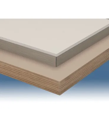 VIRUTEX aplacadora cantos estacionaria PEB250TRC Evolution